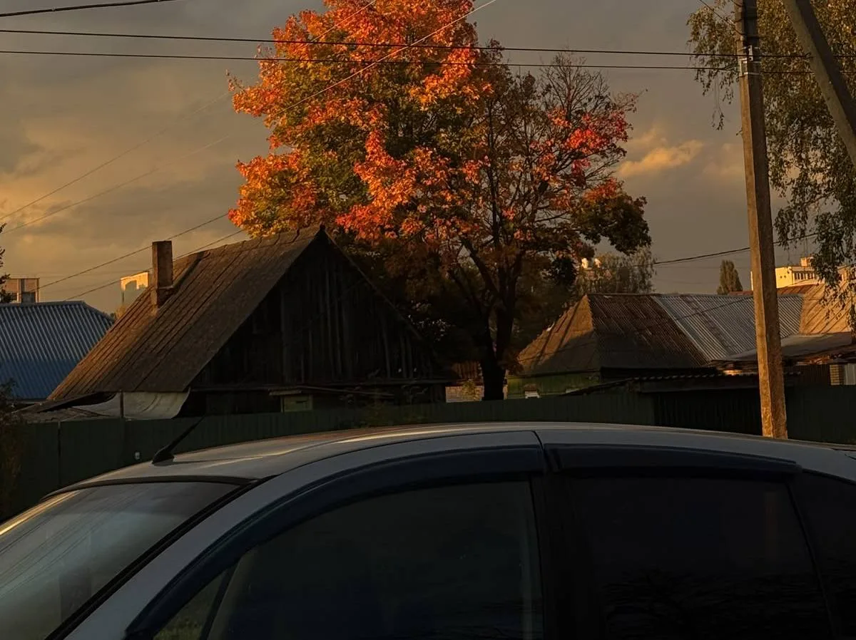 🌅 Доброе утро, Москва!