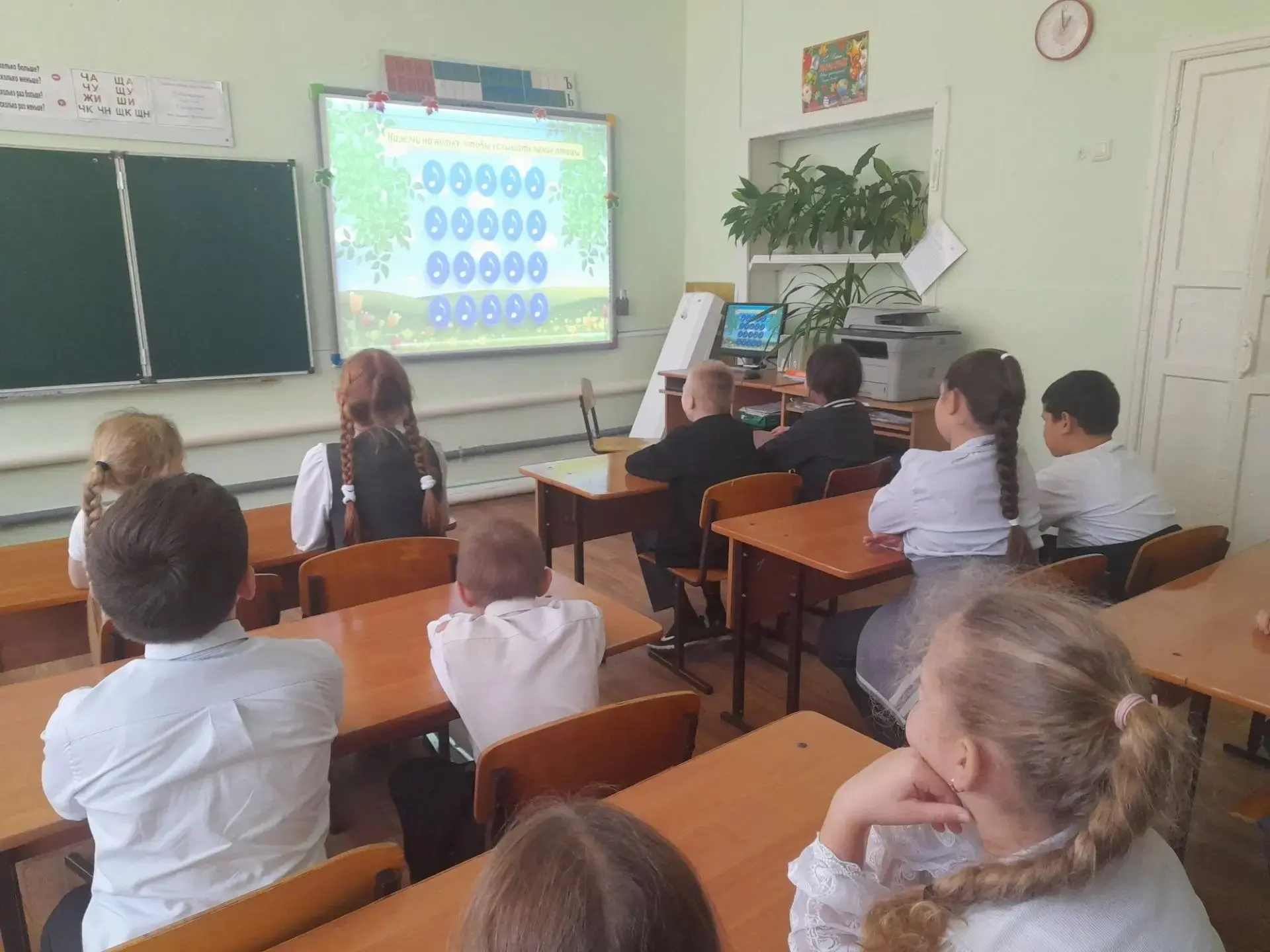 ✅Многообразие птиц.