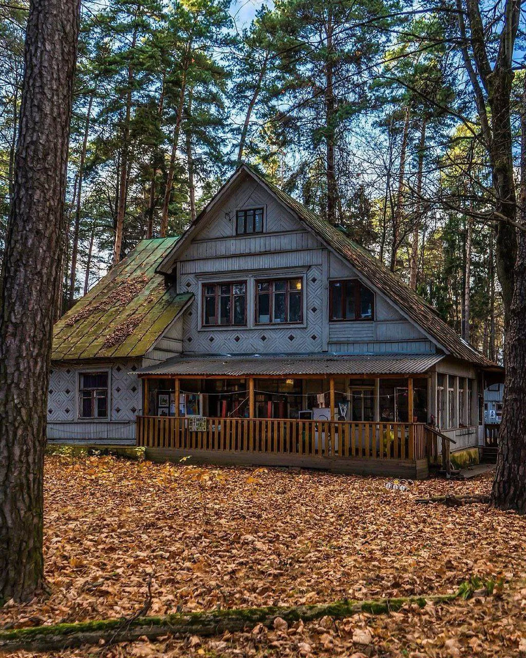 Городок писателей в Переделкино 🍂