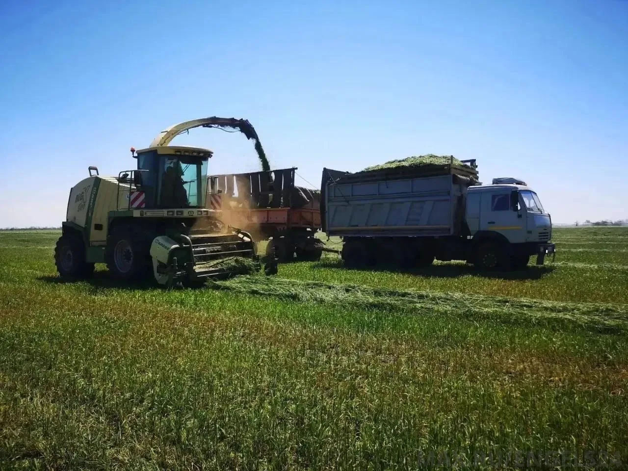 🚜 Максим Леонов поздравил аграриев с профессиональным праздником: