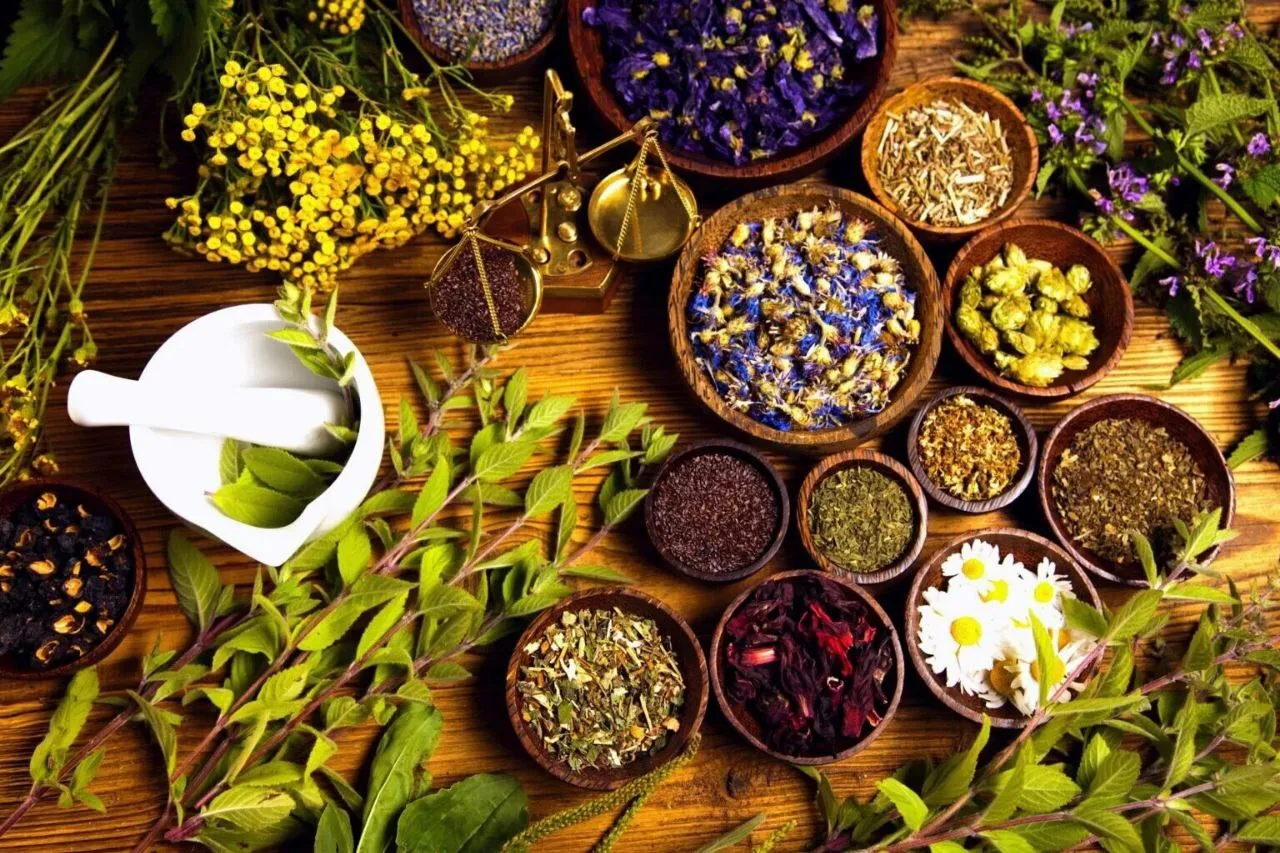 🌿Подборка трав для сердца
