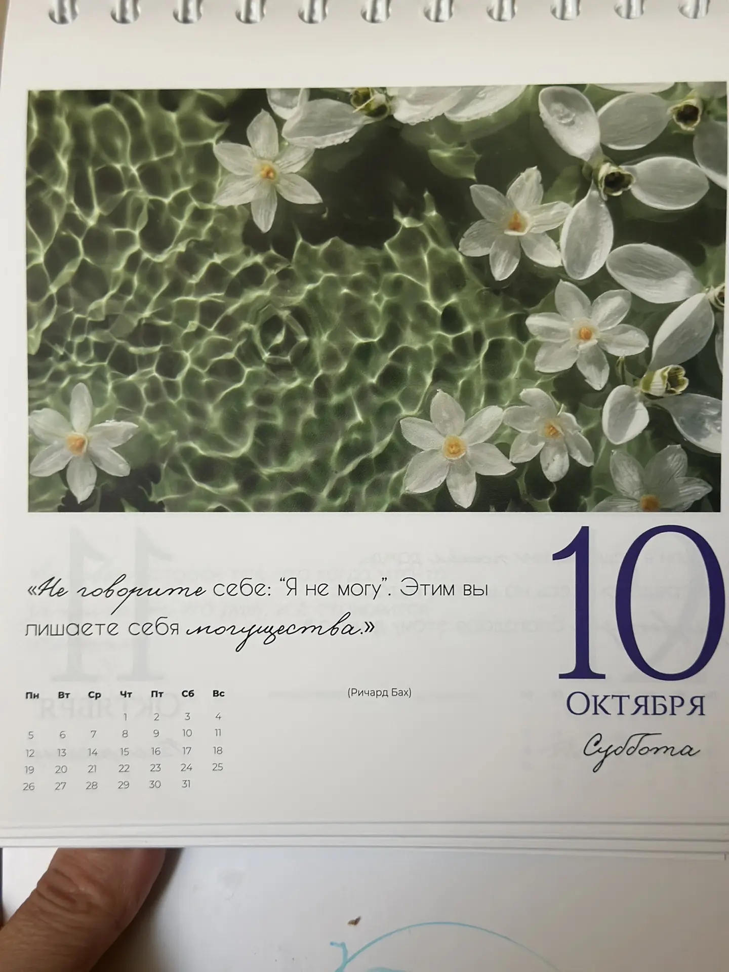 Какое счастье быть ДОМА !