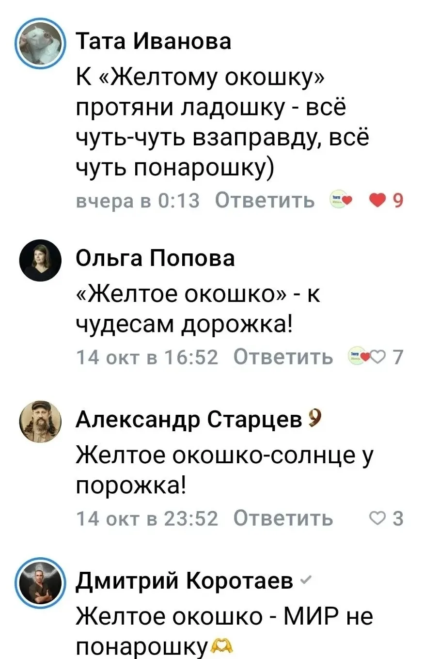 Медиа публикации