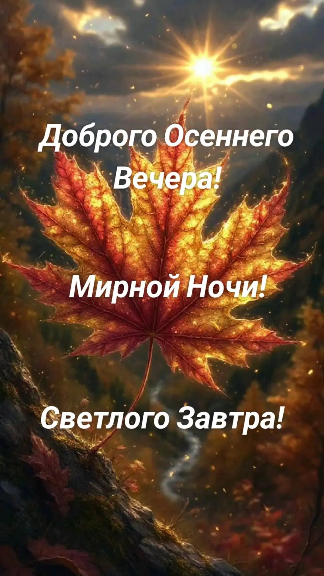 🌷 Открытки подписаться 👈
