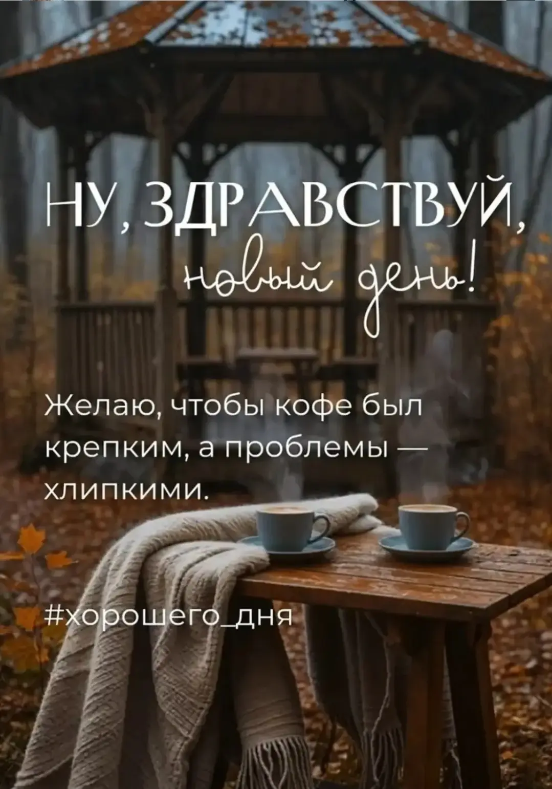 #обои #обои_для_девушек