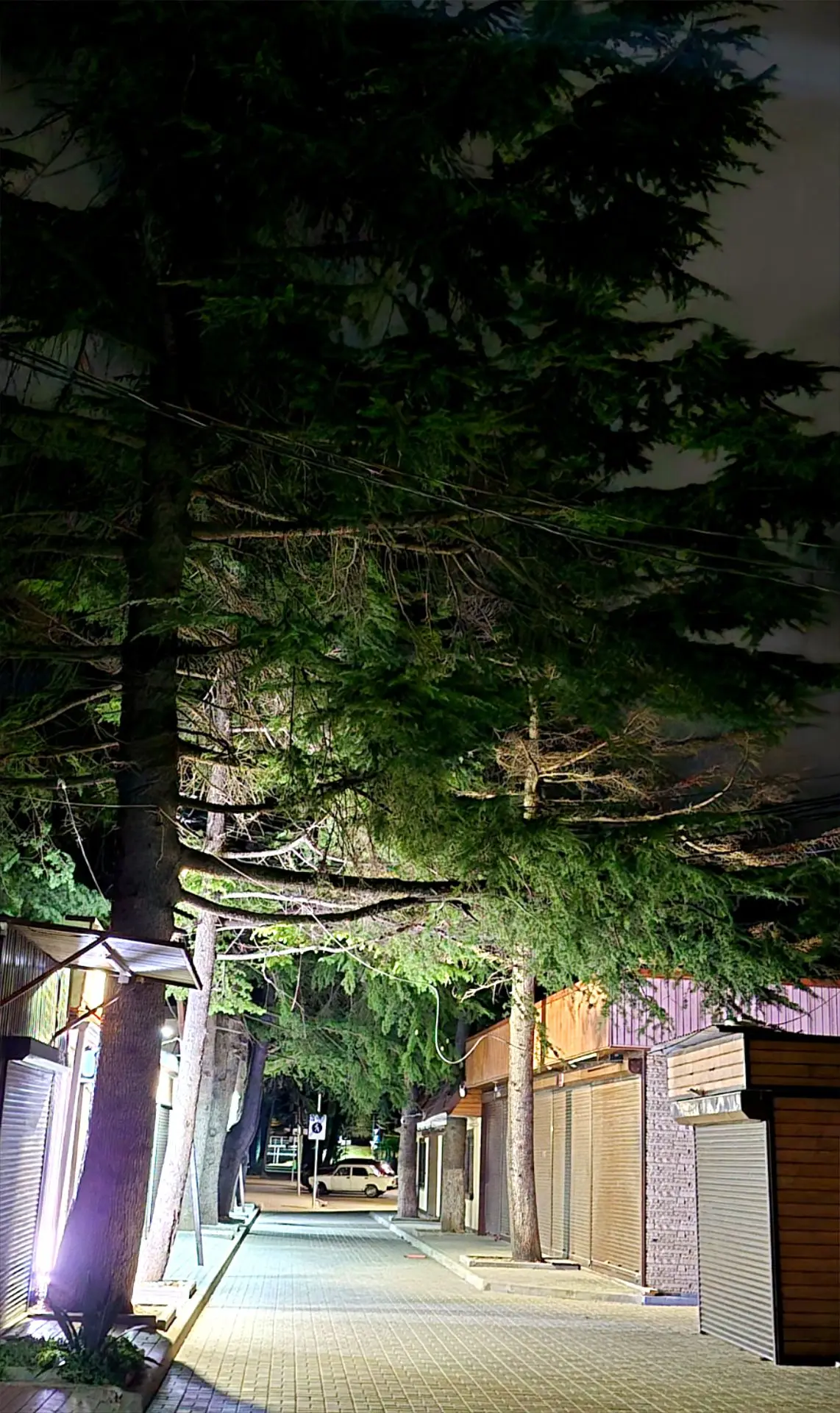 Ночная набережная в октябре🌚🍁💥.