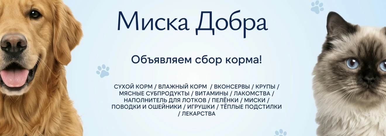 Дорогие родители, ребята и учителя!