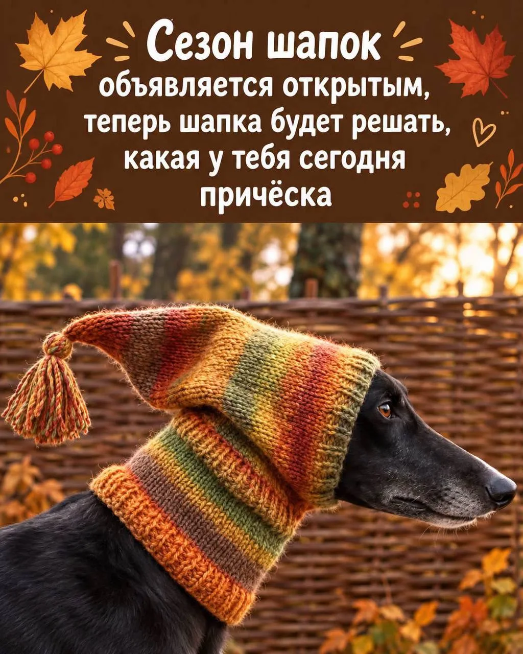 Вам открытка 💙