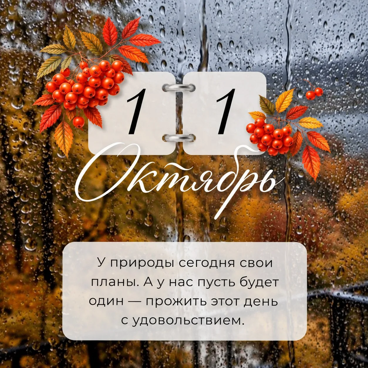 🔖ПРОГНОЗ НА ДЕНЬ