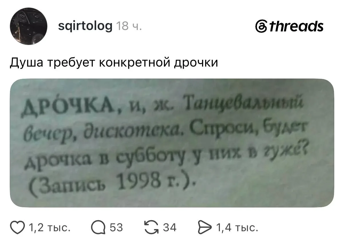 «Душа требует дрочки».  В России нашли диалектный словарь за 1998 год, где это слово оз...
