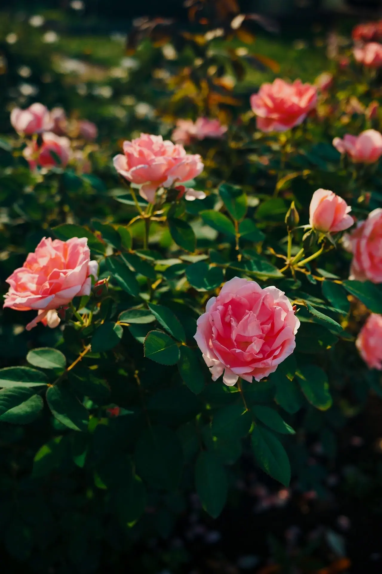 Август, постой, давай не так быстро!🌺