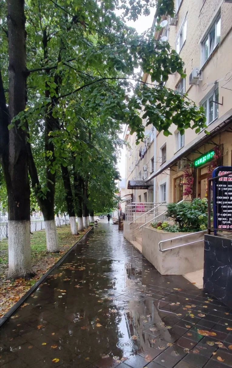 Ссылка на наш канал 👇
