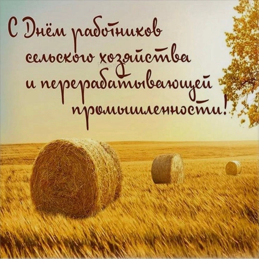 Уважаемые труженики села, ветераны сельскохозяйственной отрасли!