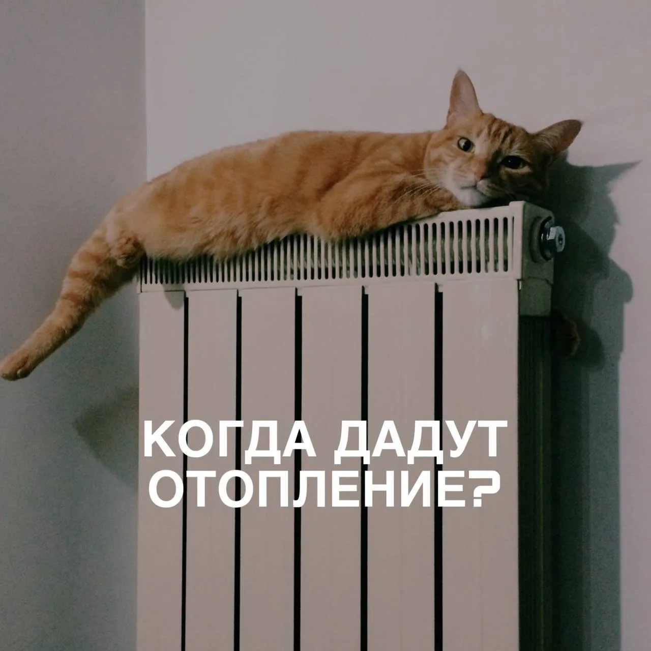 Соседи просят помощи на Открытом шоссе, 29к7.