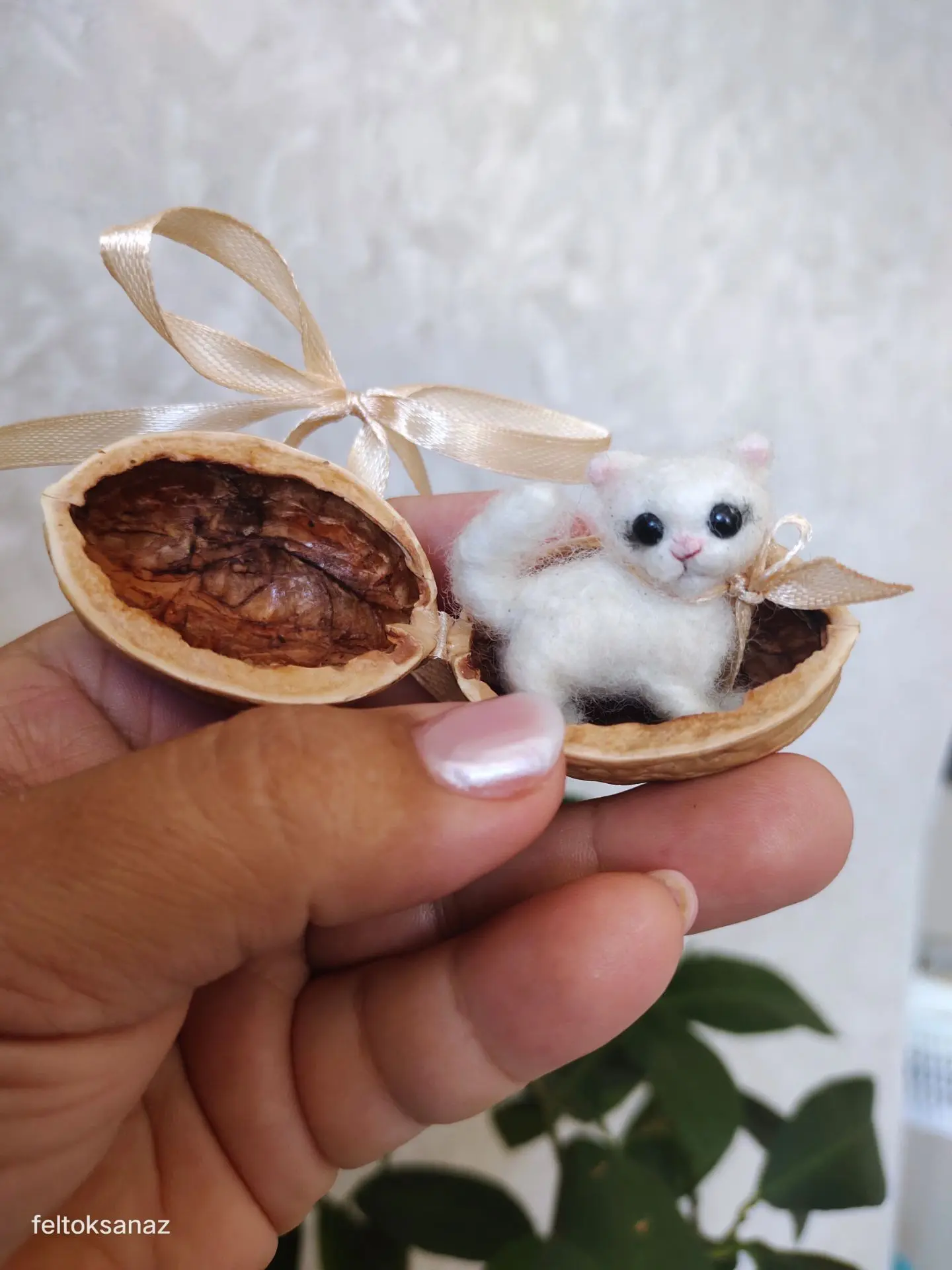 Белых котиков вам в ленту... Ну и отличного вторника♥️