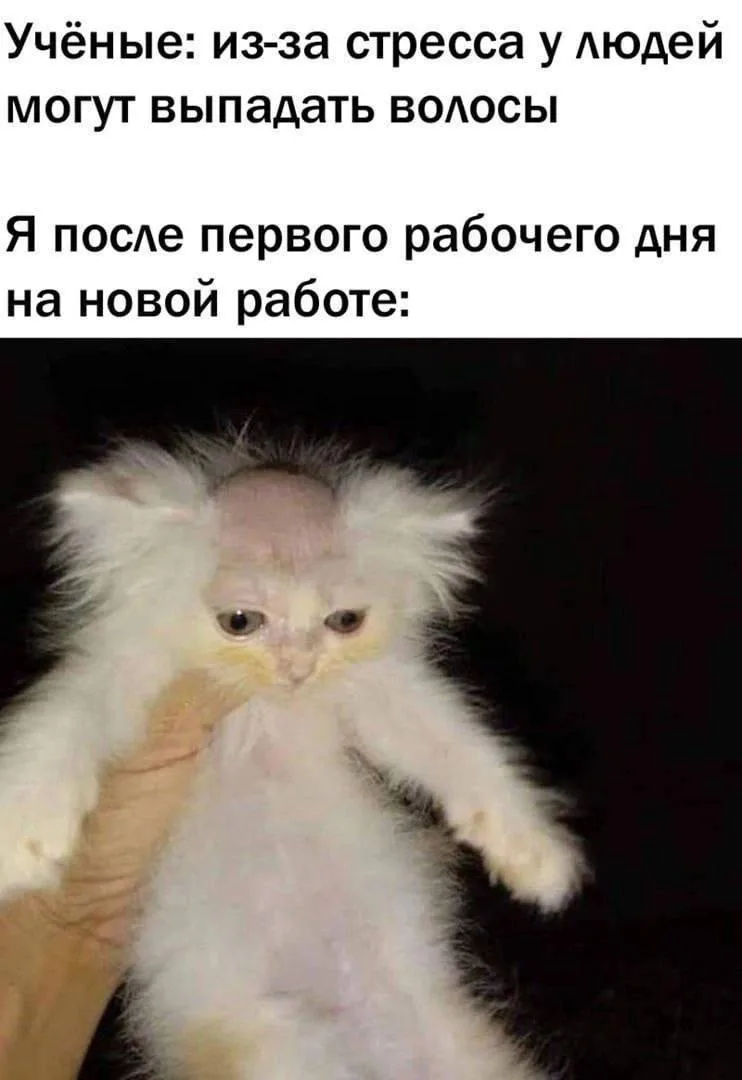 😅😅 Доброе утро