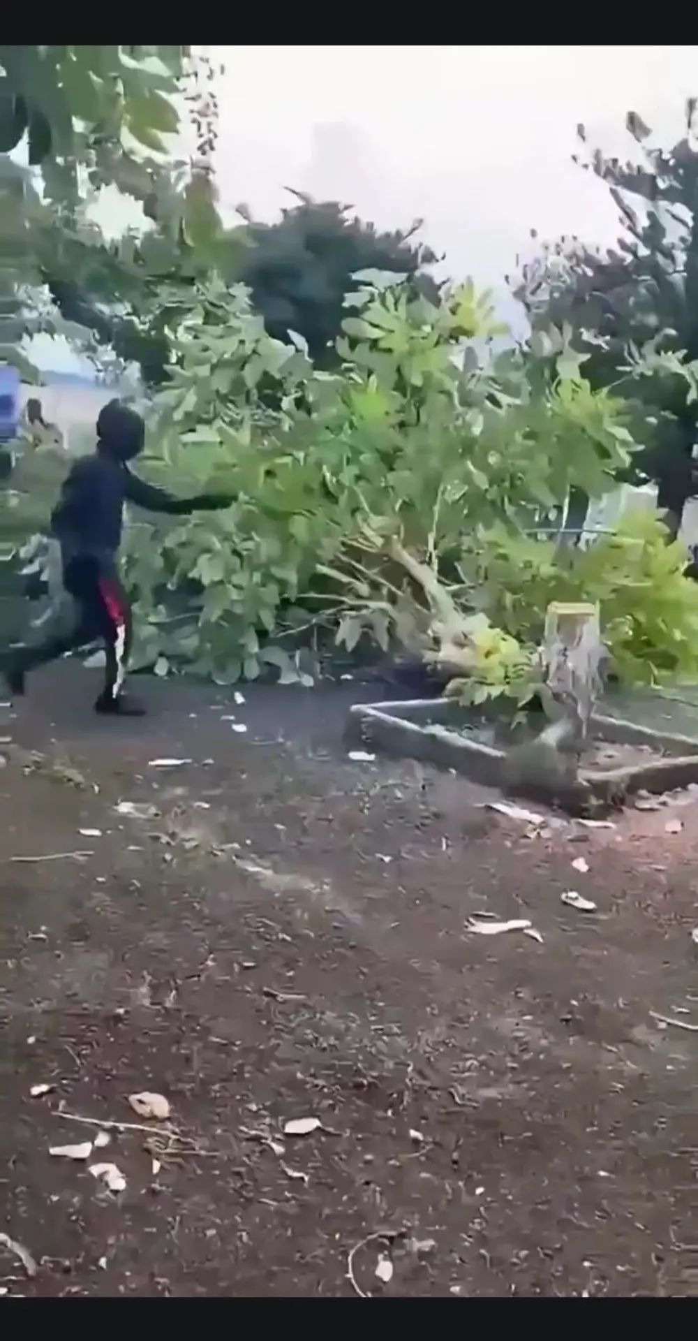 Для Макрона. 👆👆