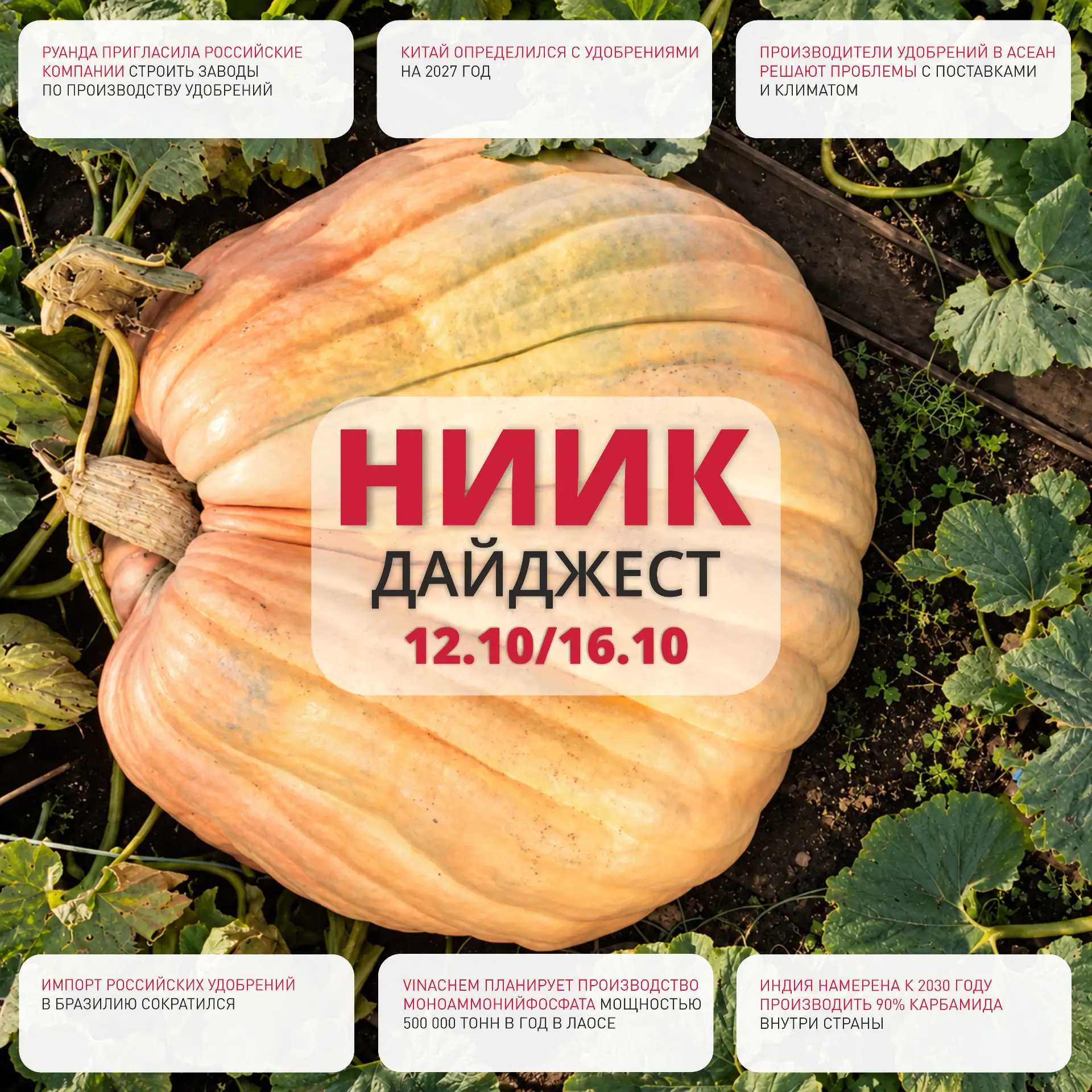 #ДАЙДЖЕСТ_НИИК