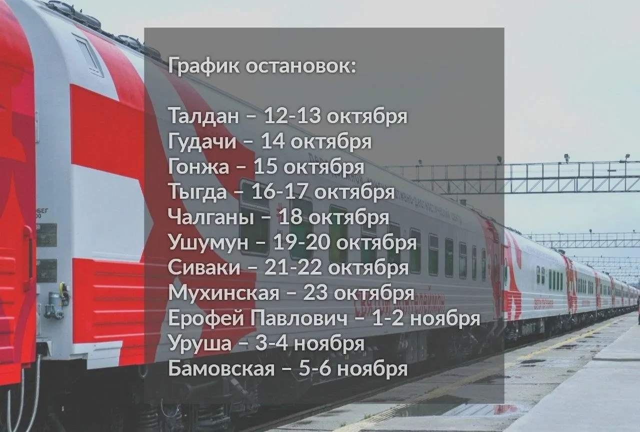 Медпоезд охватит 11 станций Амурской области