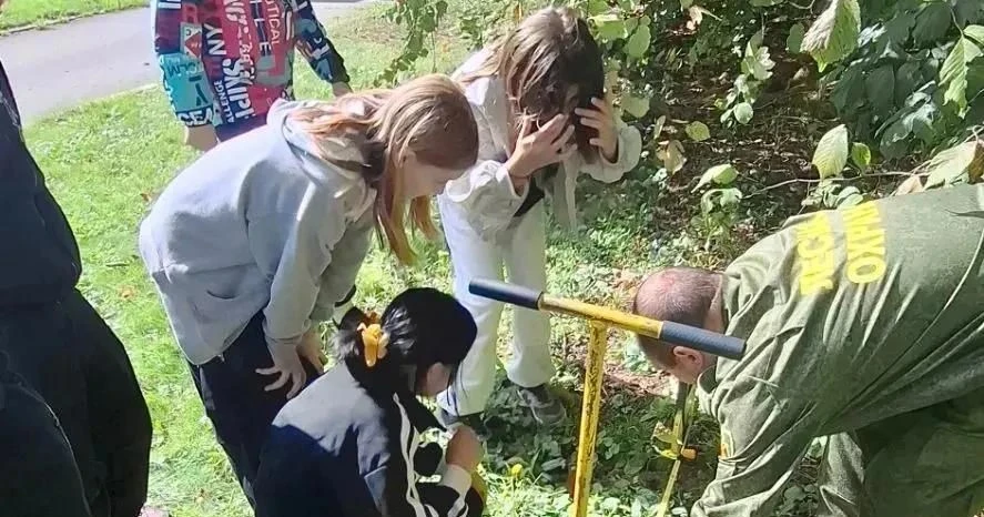 🌲 Юные лесничие прошли практику