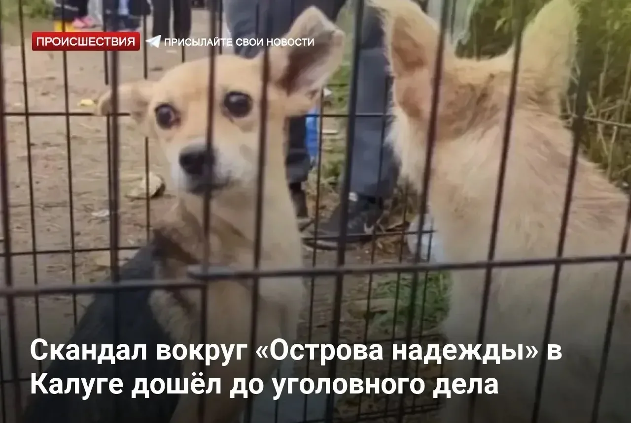 Скандал вокруг «Острова надежды» в Калуге дошёл до уголовного дела