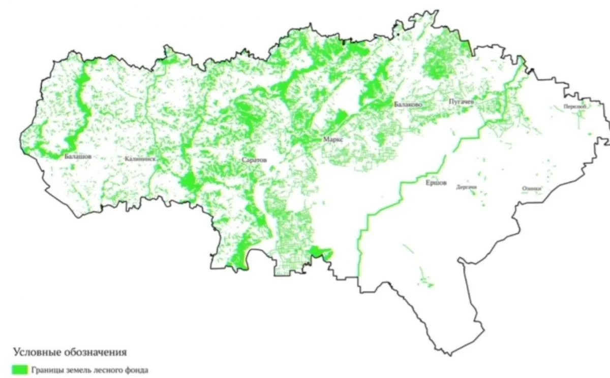 Лесистость Саратовской области составляет 6%.