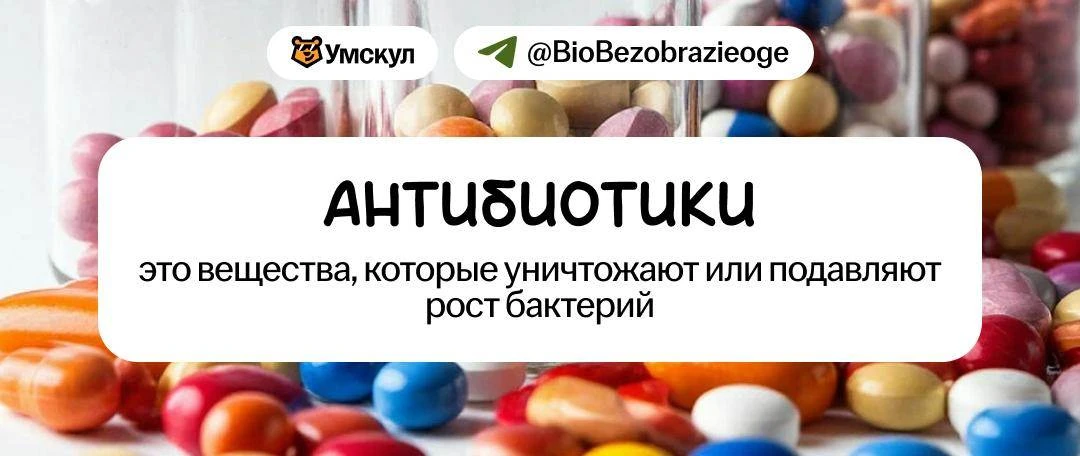 Термин недели от Никиты Павлова — антибиотики 💊
