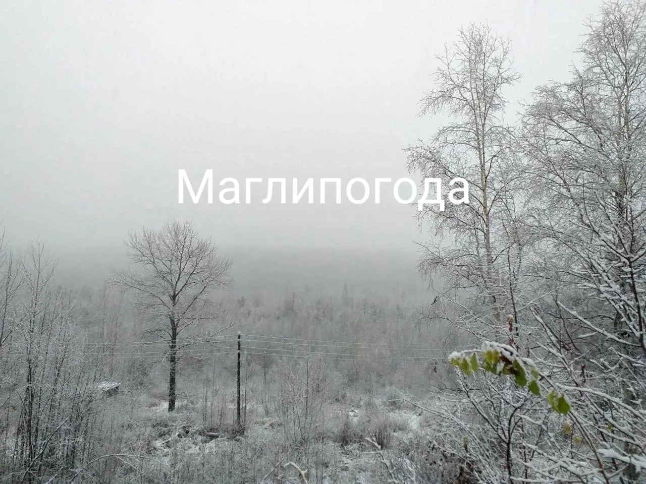 Первый снег