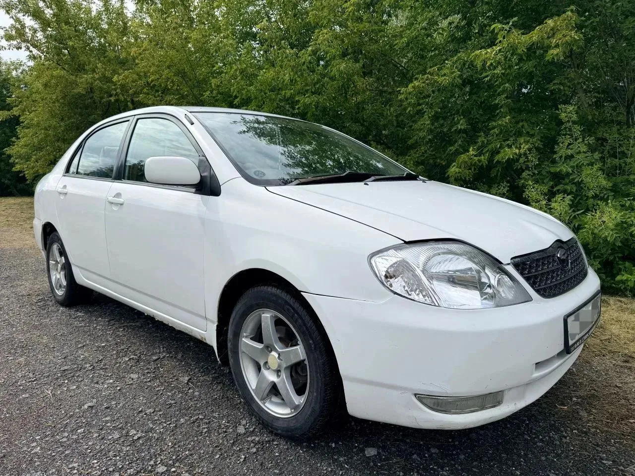 🎲Toyota Corolla