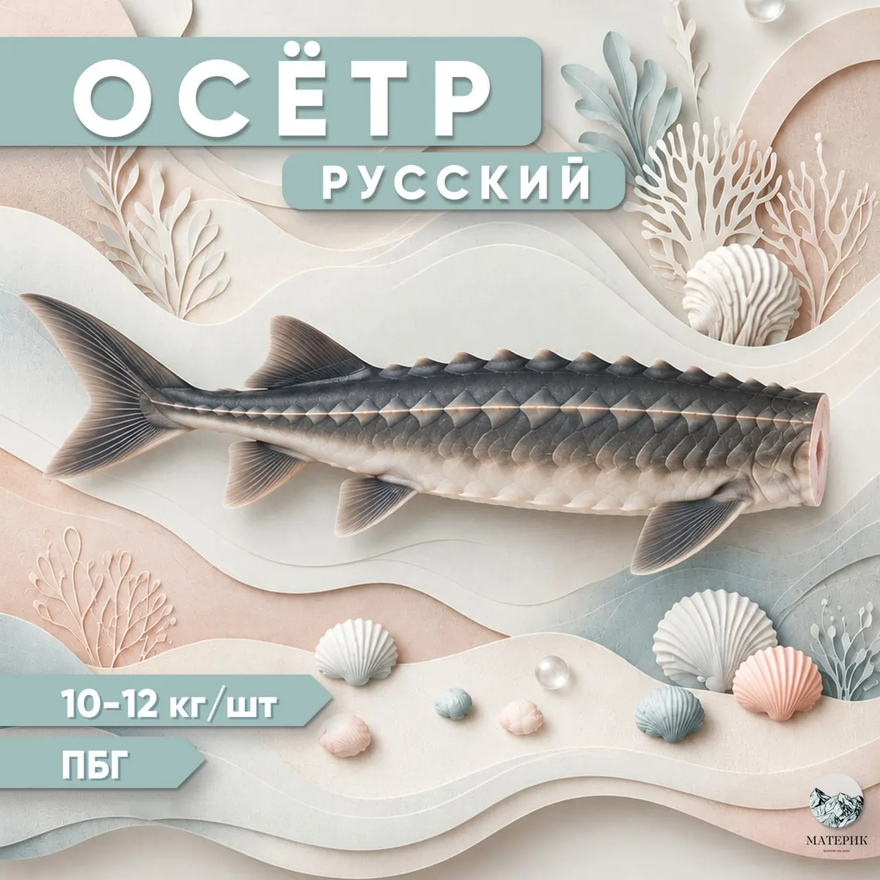ОСЁТР РУССКИЙ - ЦАРЬ СТОЛА!
