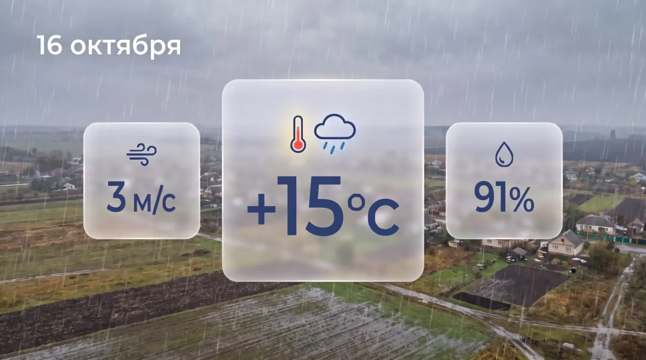 🌧️ Дождливая погода ожидается в Запорожской области в пятницу, 16 октября