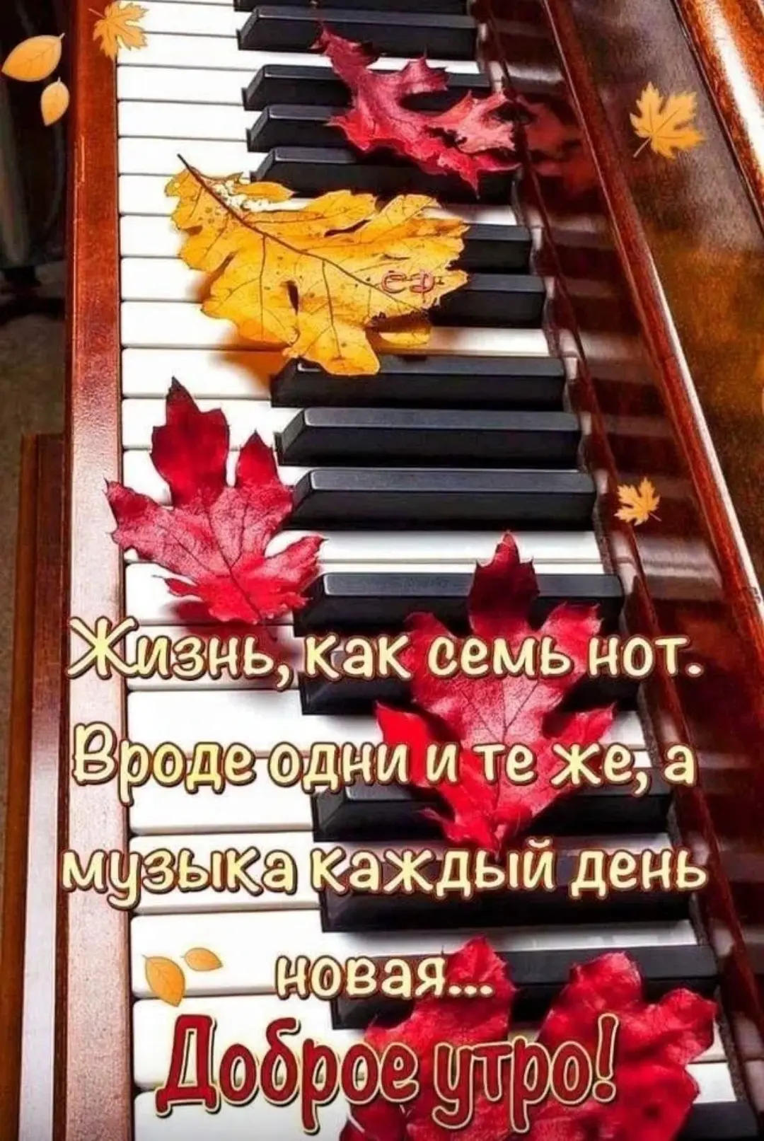 Доброе утро, друзья❤️!
