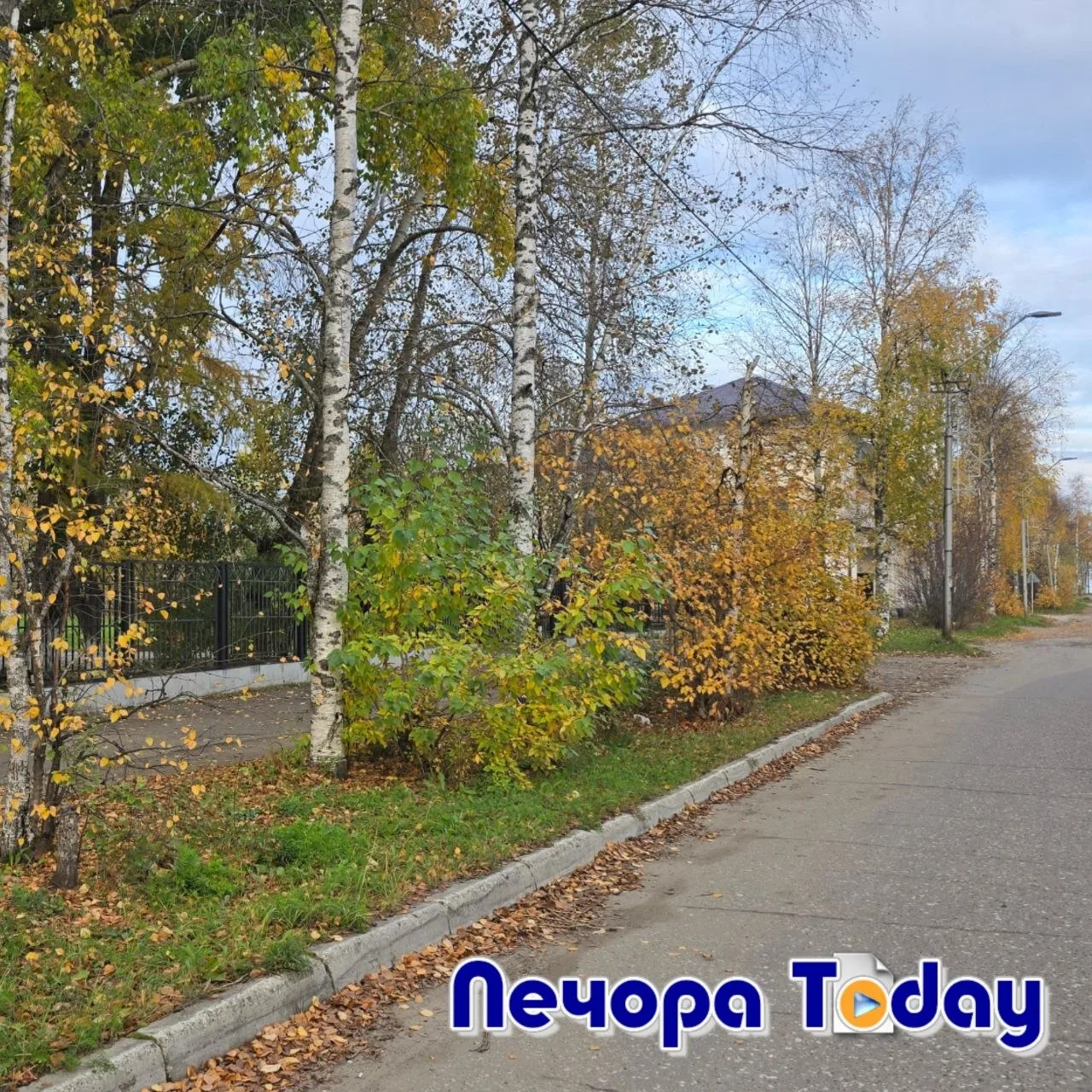 С добрым утром, Печора!