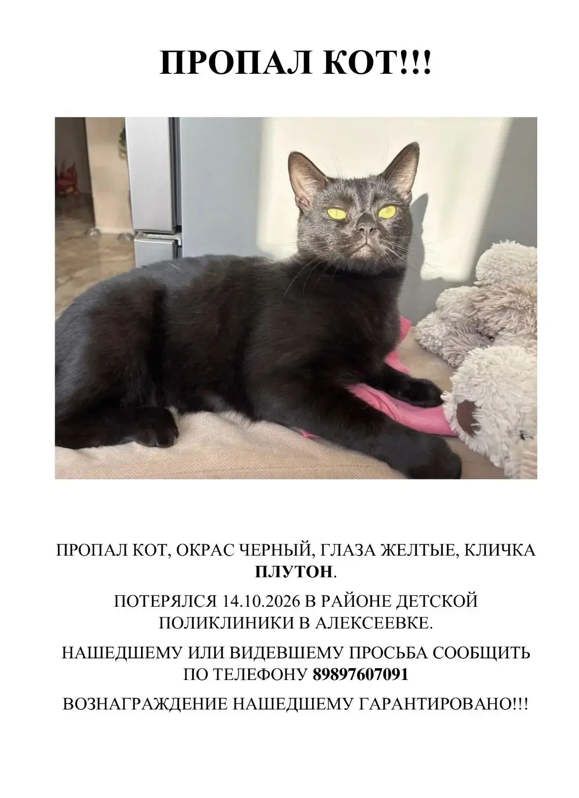 Можно вас попросить разместить объявление о пропаже кота🥹😭🙏