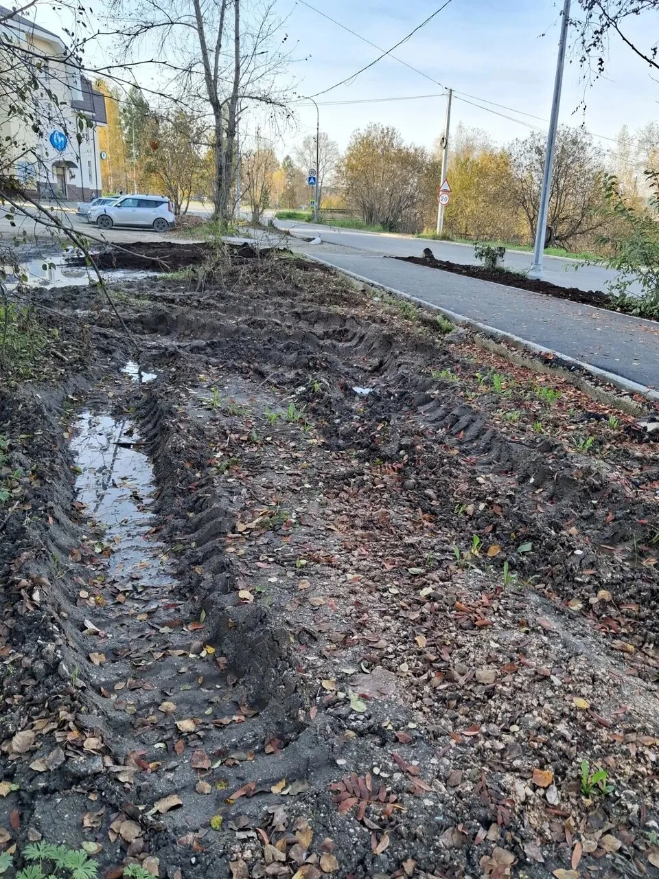" Красота" возле дома 40 по ул.Свердлова.