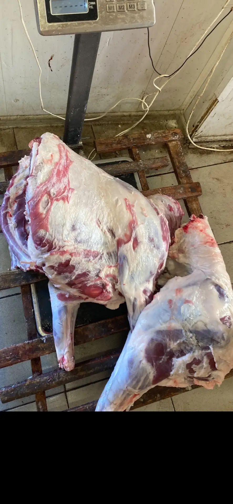 Принимаю заявки на молодого барашка, ребра, передняя лопатка, задок 650₽