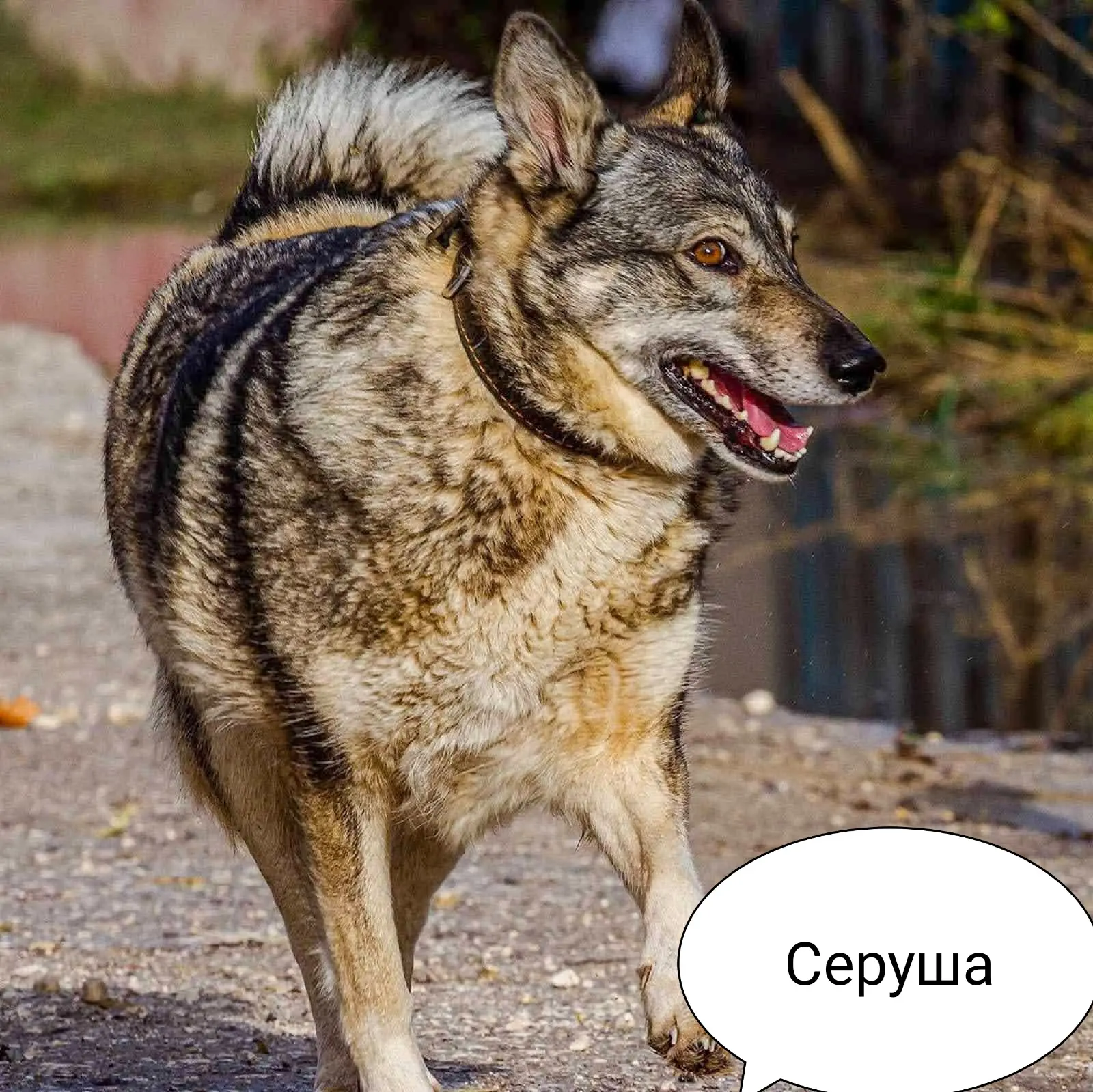 Сегодня доктор прописал