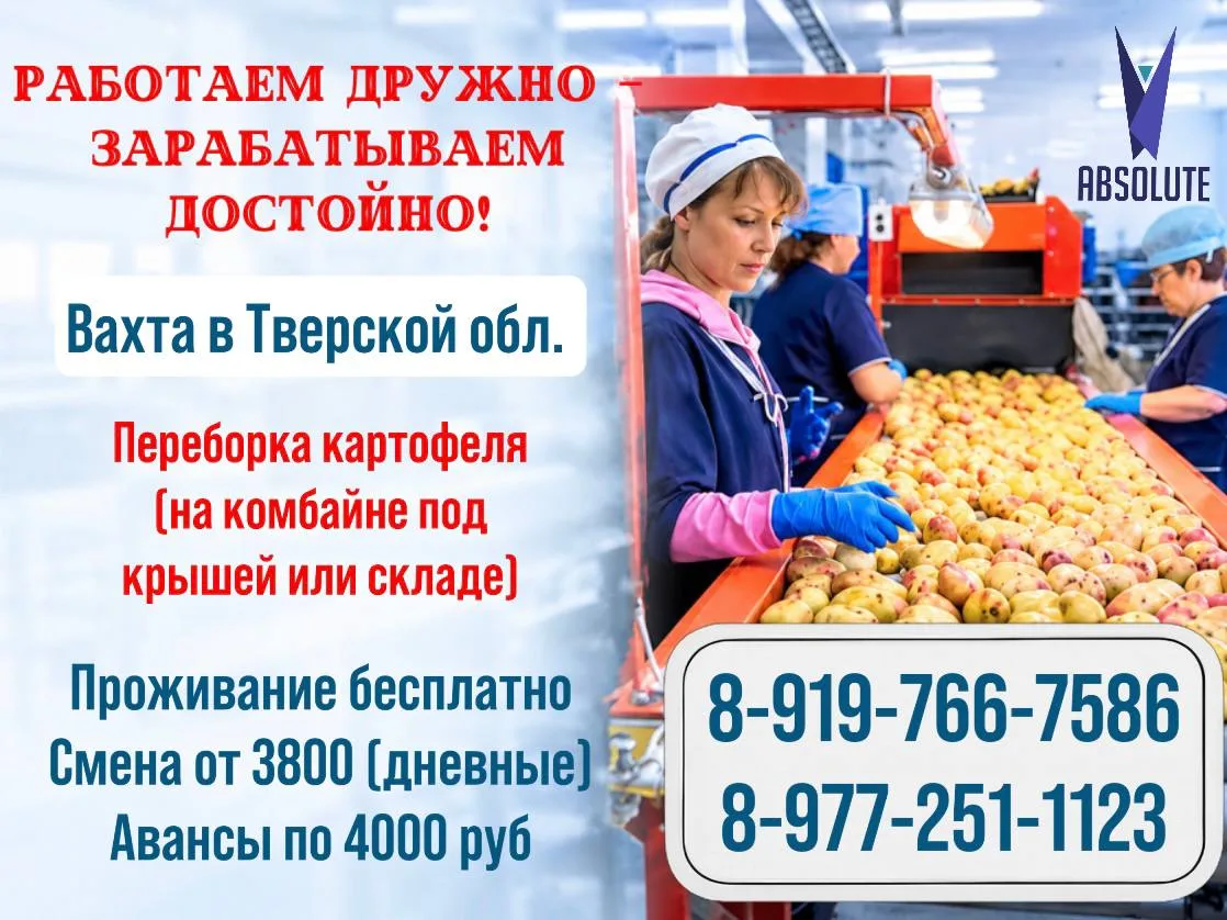 🥔 КАРТОФЕЛЬНАЯ ВАХТА — РАБОТА И ЗАРАБОТОК! 🚜