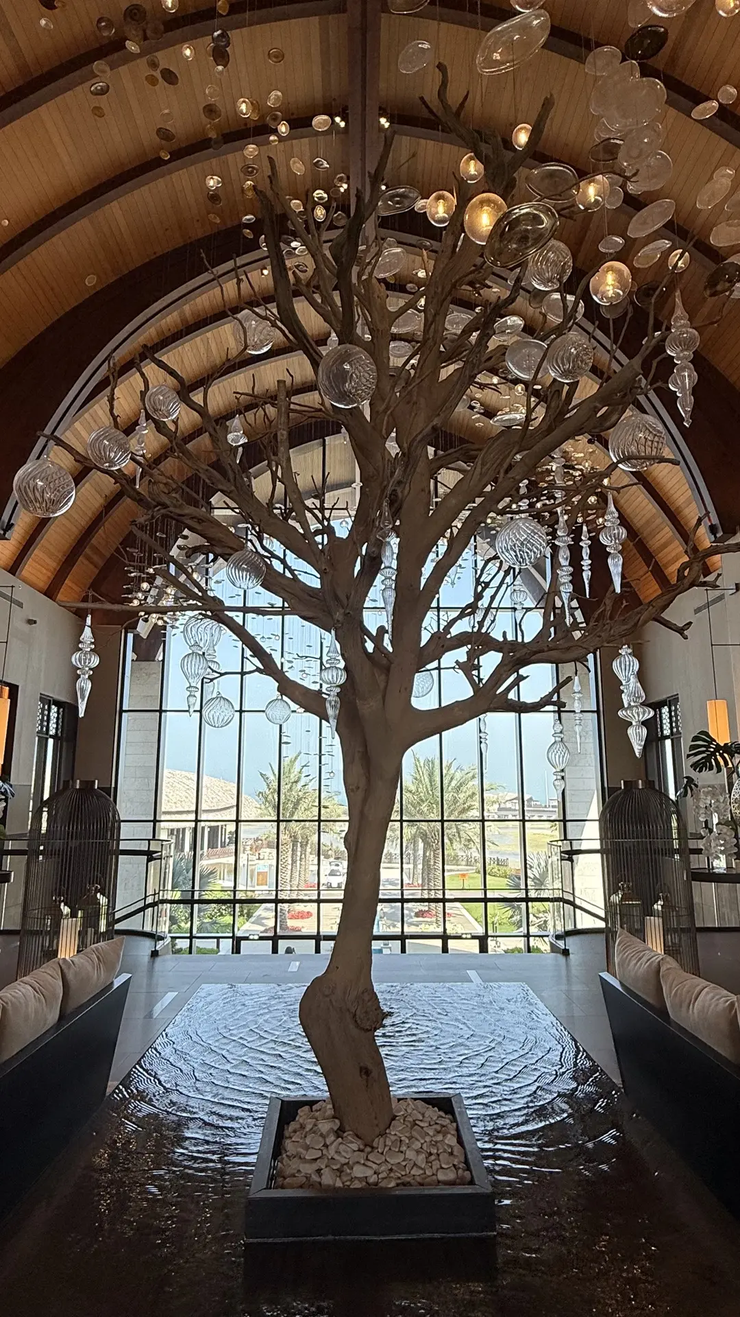 ОАЭ, Рас-эль-Хайма • Anantara Mina Al Arab Ras Al Khaimah Resort 5*