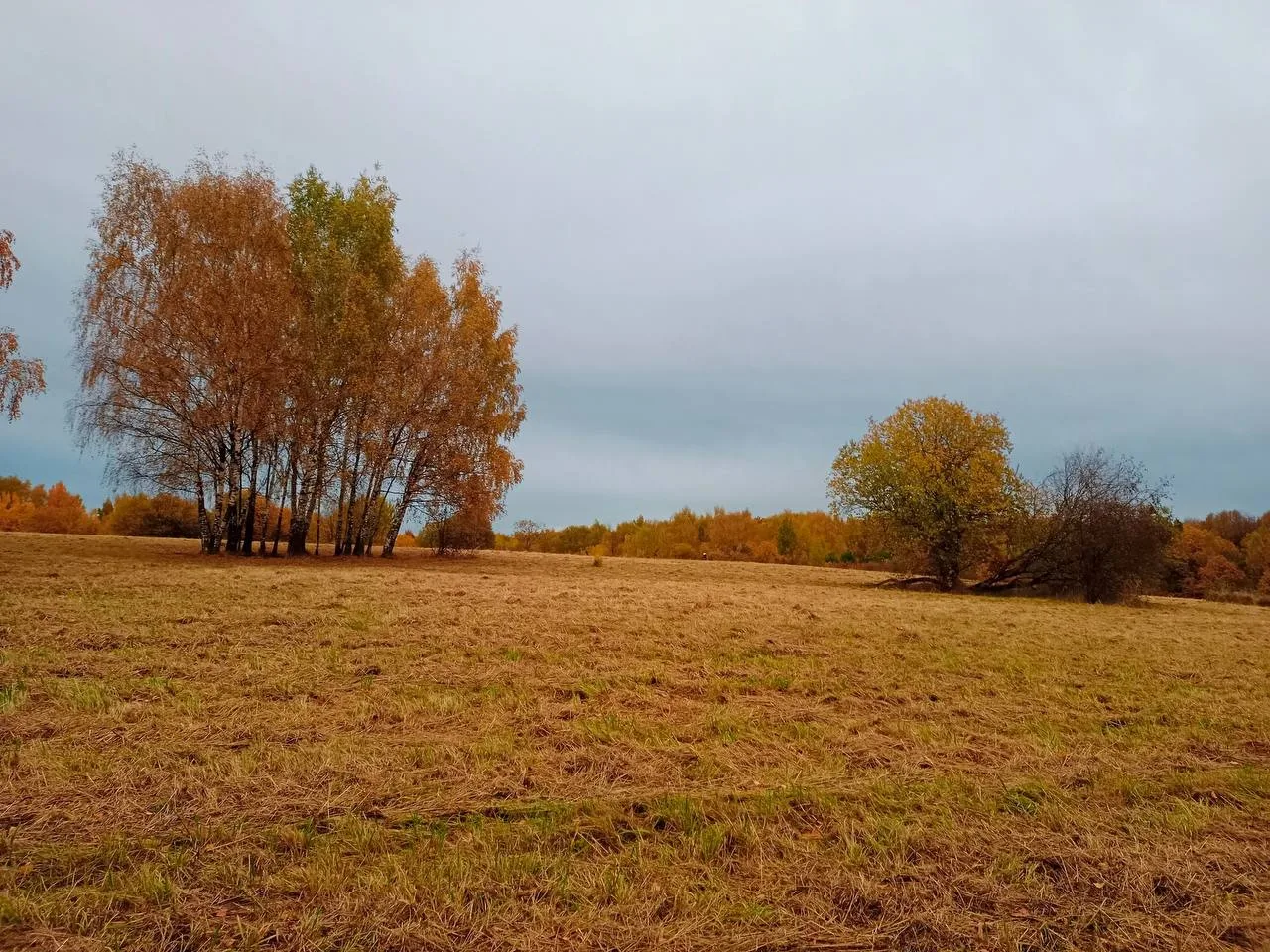 Октябрьская Лысая гора.