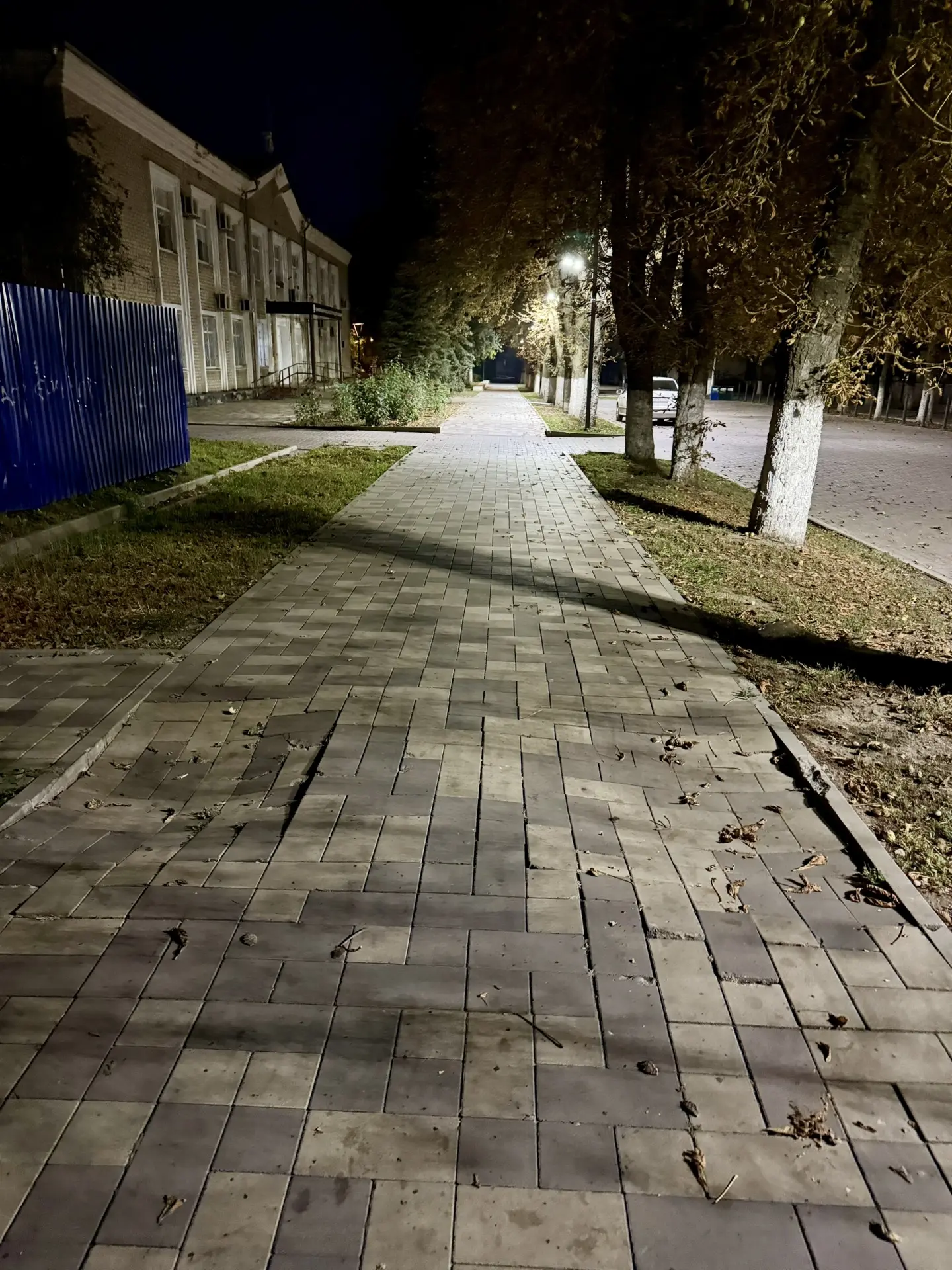 Кстати, возвращаясь к теме раскопанных дорожек в парке.