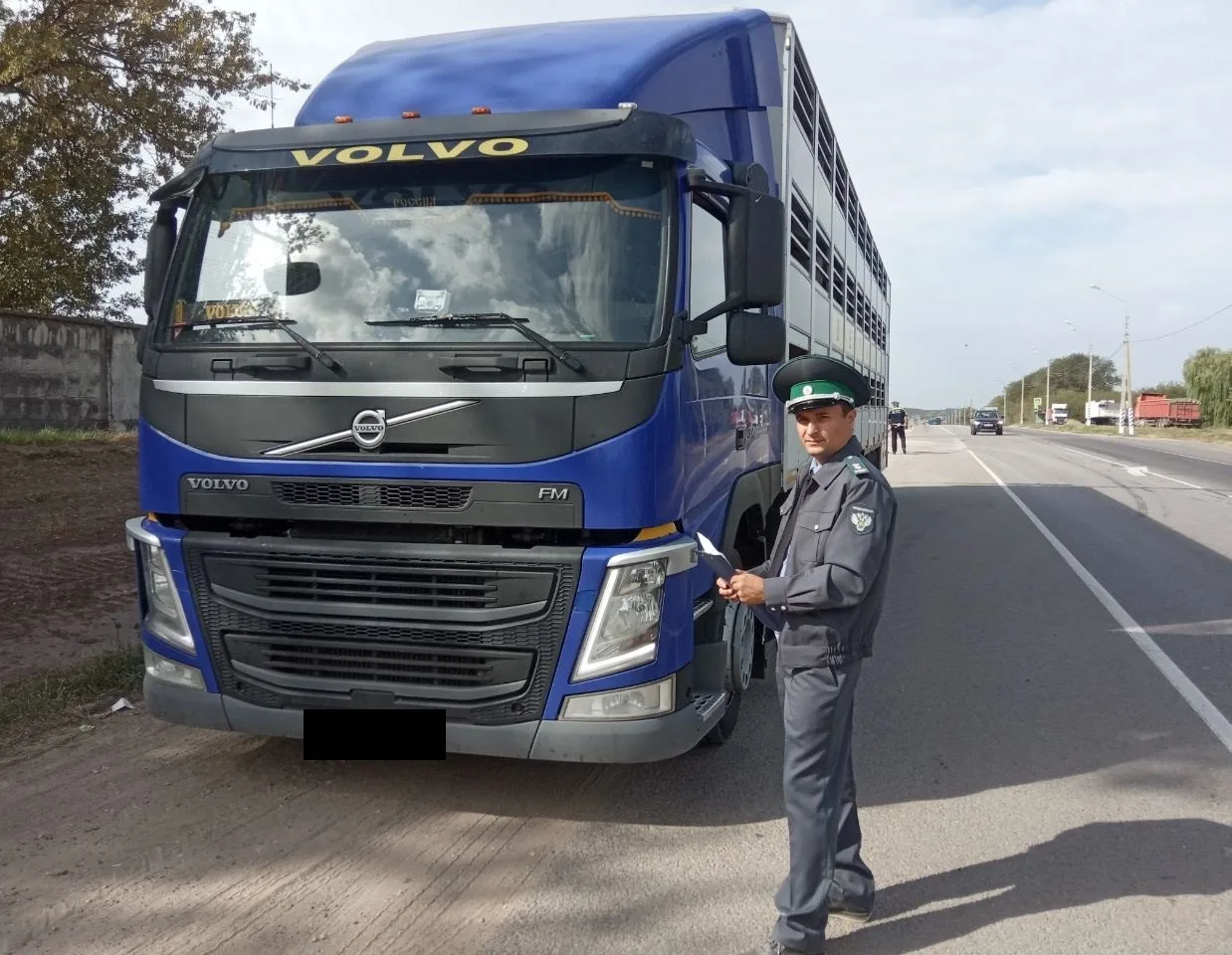 На Орловщине скот отправили на убой без документов