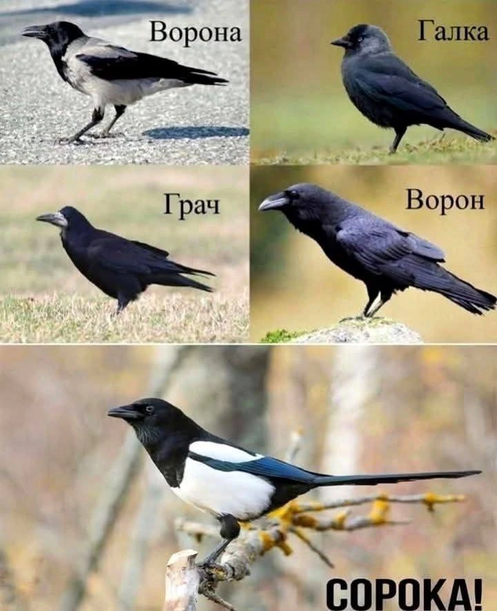 На заметку📌