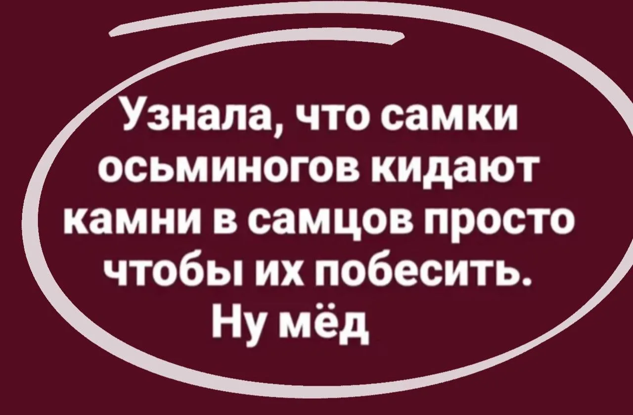#бабьековарствонезнаетграниц