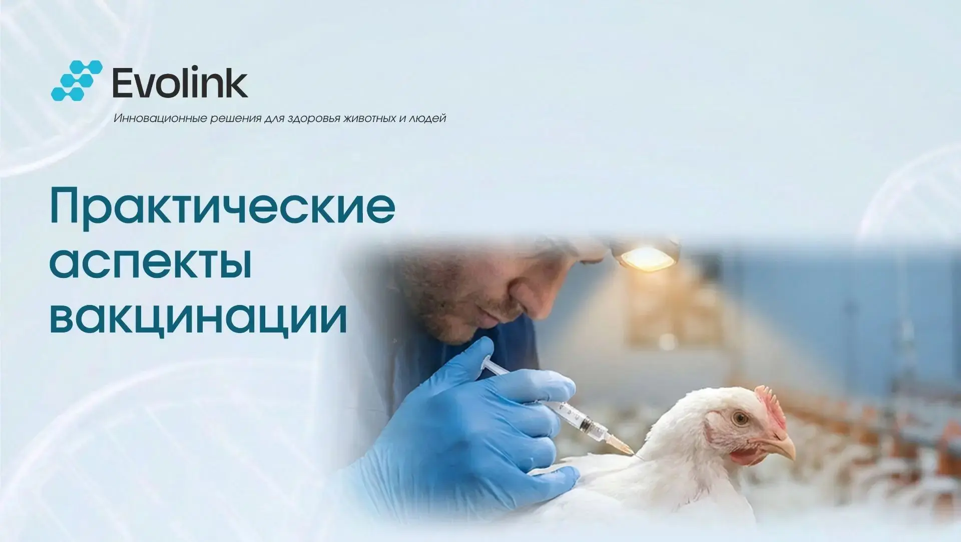 Продолжаем делиться лайфхаками по практическим аспектам вакцинации