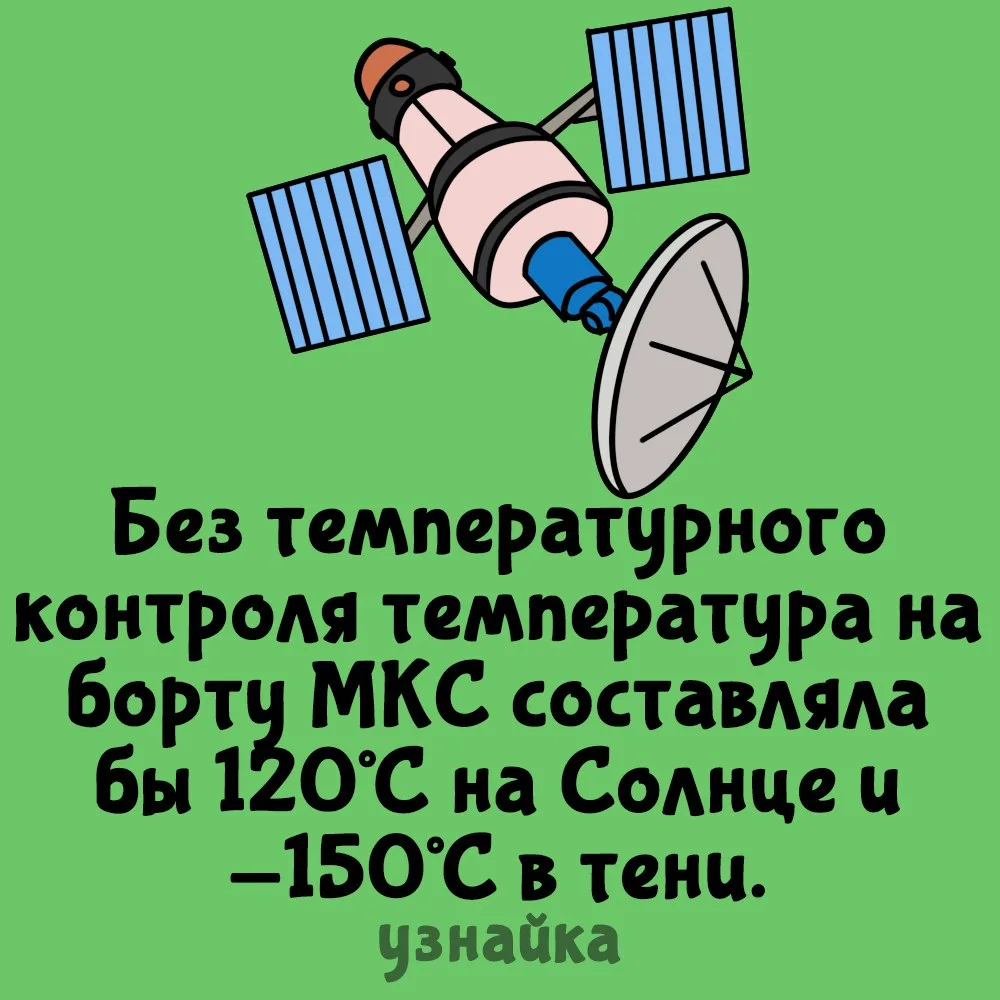 Все таки хорошо на земле🤟
