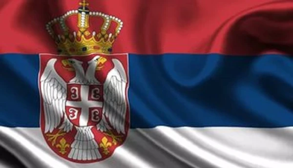 Сербия стала лидером по вспышкам АЧС на фермах в Европе