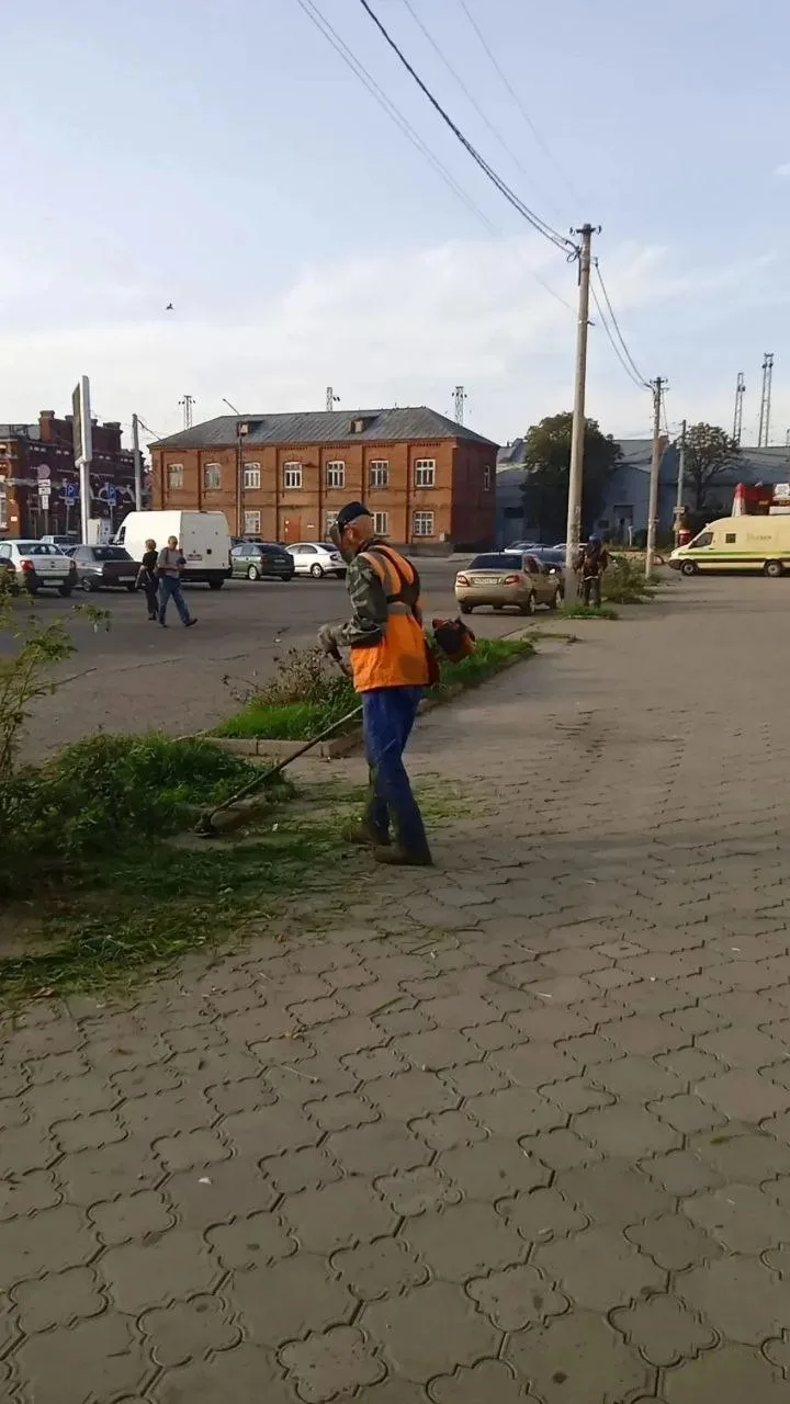 ✅ Учреждение благоустройства "Феникс" продолжает активную работу по покосу сорной расти...