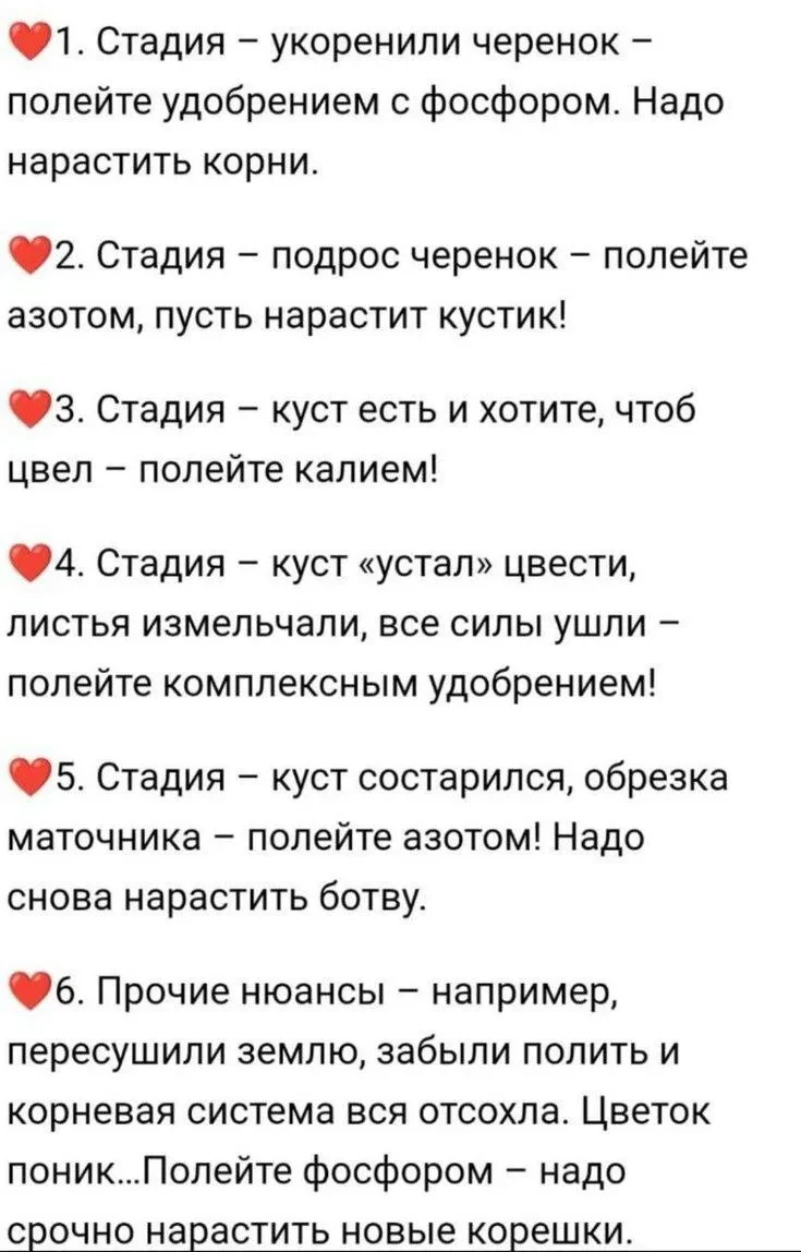 Сохраняйте себе 🌿