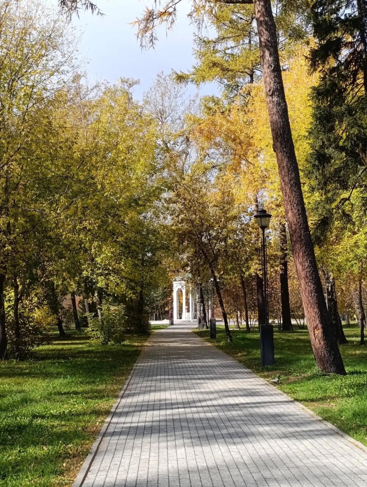 Золотая осень в парке на Иерусалимской горе
